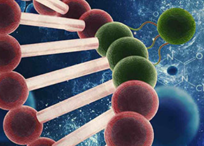 干细胞一周资讯:全球首例异基因造血干细胞治疗LPI患儿康复
