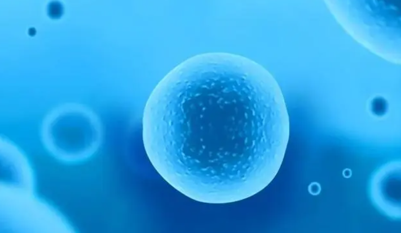 干细胞资讯:免疫细胞治疗儿童恶性脑瘤新进展